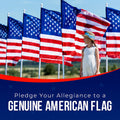 American Flags for outside 3X5 (Pack of 3) -American Flag 3X5 with Embroidered Stars and Sewn Stripes US Flag 3X5 Heavy Duty Outdoor Made in USA for High Wind- All Weather Flags