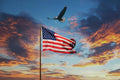 This 10X15 Ft American Flag for Outside, 100% in USA Strongest, Longest Lasting, Heavy Duty Nylon, Embroidered Stars, Sewn Stripes, Brass Grommets Perfect for Outdoors! Premium US Flag