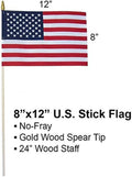 GIFTEXPRESS 12-Pack, Proudly MADE in U.S.A. 8X12 Inch Spearhead Handheld American Stick Flags/Grave Marker American Flags/Usa Stick Flag (12)